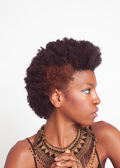 afro-hairstyles-for-women-54_5 Afro hairstyles for women
