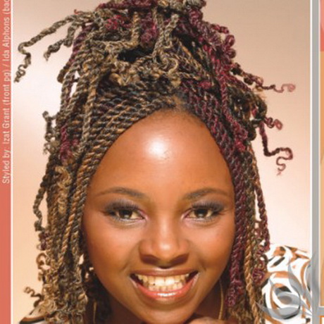 braids-and-twists-hairstyles-52_9 Braids and twists hairstyles