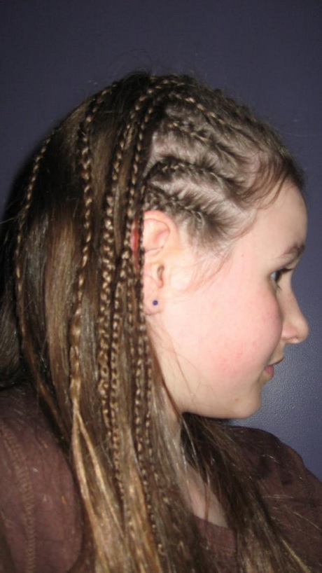 french-braid-hairstyle-75_6 French braid hairstyle