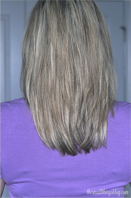 long-layered-haircuts-back-view-14_4 Long layered haircuts back view