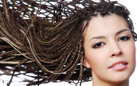 small-braids-hairstyles-71_4 Small braids hairstyles