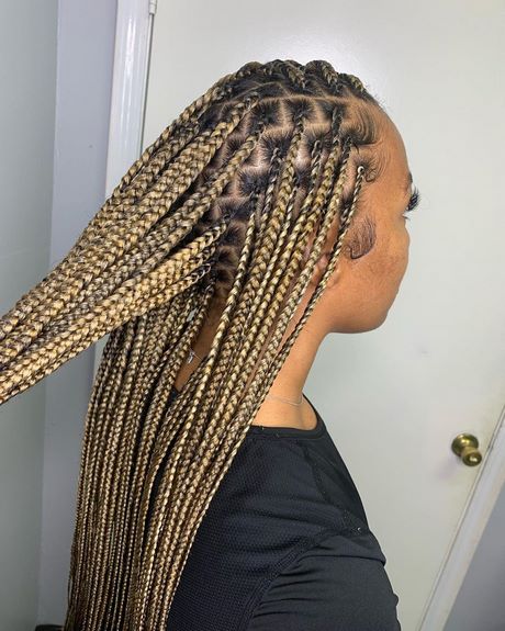 braids-hairstyles-2020-64 Braids hairstyles 2020