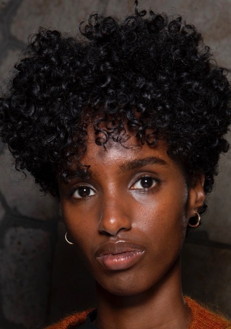 natural-hair-styles-2020-20_11 Natural hair styles 2020