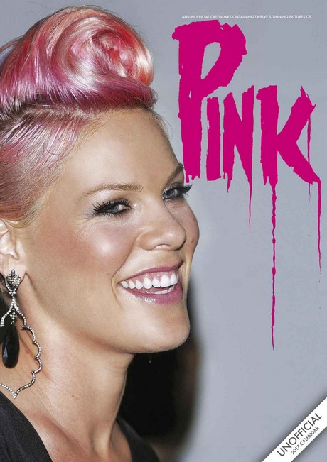 p-nk-hairstyles-2017-81_15 P nk hairstyles 2017