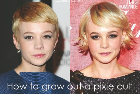 growing-hair-from-pixie-cut-74_8 Growing hair from pixie cut
