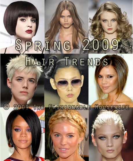 hairstyles-2009-66_7 Hairstyles 2009