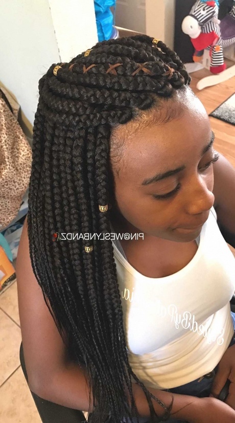 plaits-hairstyles-2019-29_17 Plaits hairstyles 2019