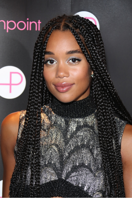 long-braids-styles-2023-46 Long braids styles 2023