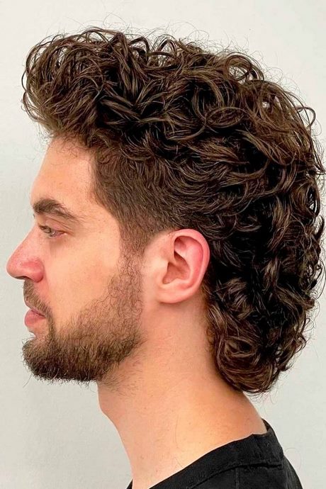 natural-curly-hairstyles-2023-04_11 Natural curly hairstyles 2023