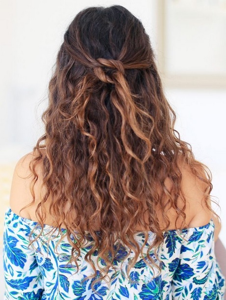 easy-updos-long-curly-hair-05_16 Easy updos long curly hair