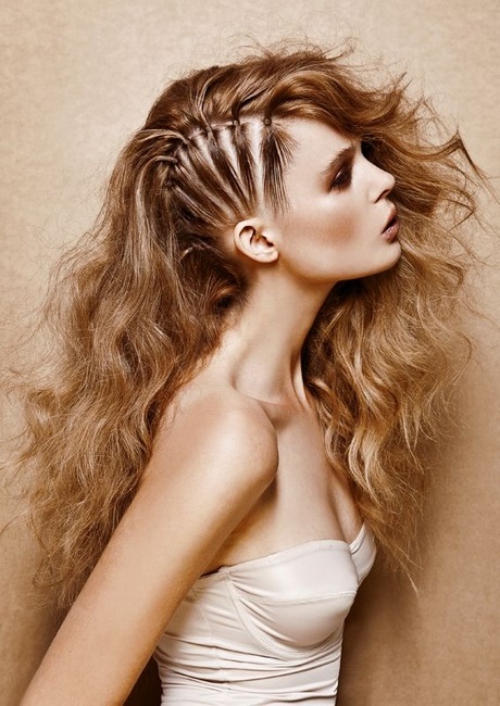 half-head-braided-hairstyles-94_16 Half head braided hairstyles