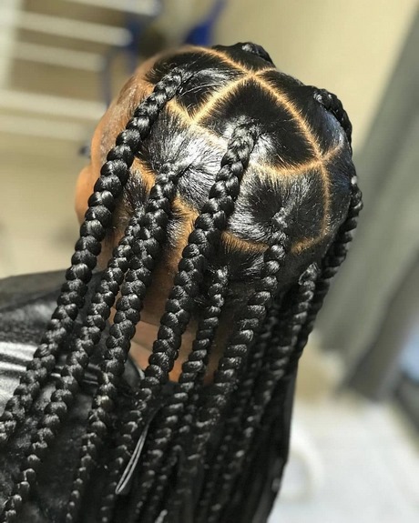 long-braids-styles-2021-82_2 Long braids styles 2021