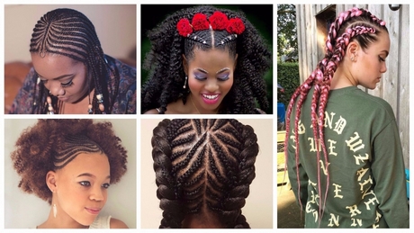 braids-hairstyles-2019-84_13 Braids hairstyles 2019