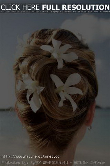 beach-wedding-hair-styles-12_4 Beach wedding hair styles