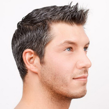 guy-hairstyles-for-short-hair-68_17 Guy hairstyles for short hair