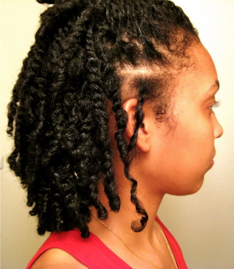 natural-black-hairstyles-twists-28_17 Natural black hairstyles twists