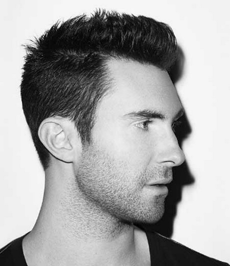 short-hairstyles-for-men-with-thick-hair-61_11 Short hairstyles for men with thick hair
