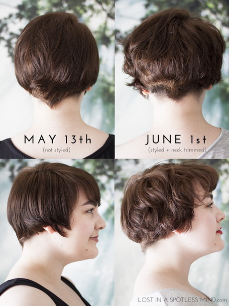The back of a pixie haircut