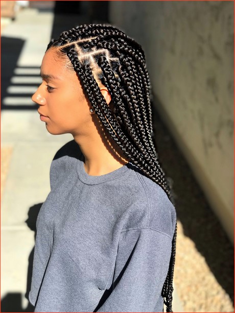 black-braids-hairstyles-2020-11_17 Black braids hairstyles 2020