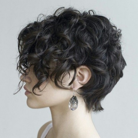 long-pixie-cut-curly-hair-81_18 Long pixie cut curly hair