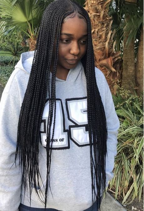 braids-hairstyle-2019-68_15 Braids hairstyle 2019