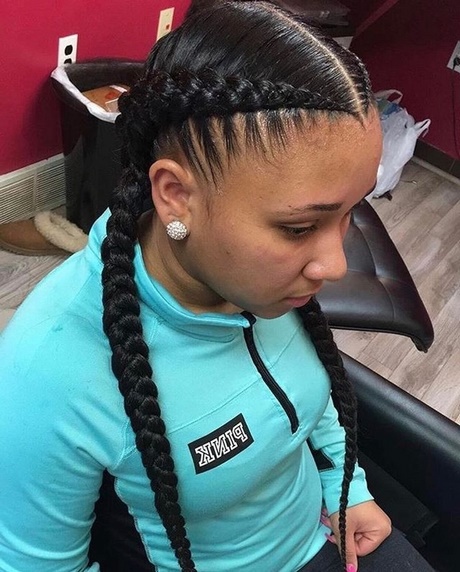 2-braid-hairstyles-51_14 2 braid hairstyles