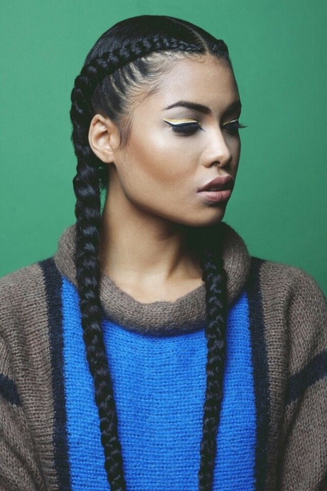 2-braids-hairstyles-32 2 braids hairstyles