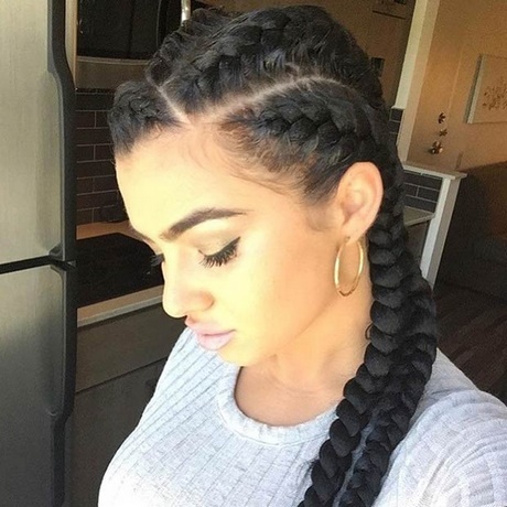 2-braids-hairstyles-32_7 2 braids hairstyles