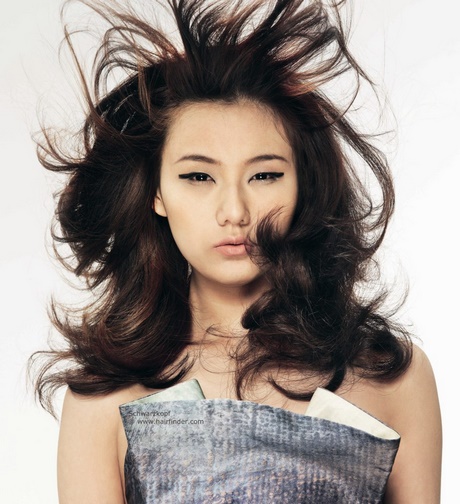 asian-hair-36_8 Asian hair