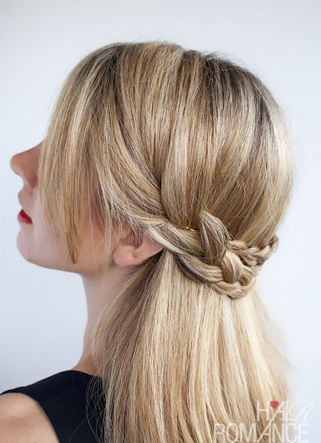 plait-of-braided-hair-46_11 Plait of braided hair