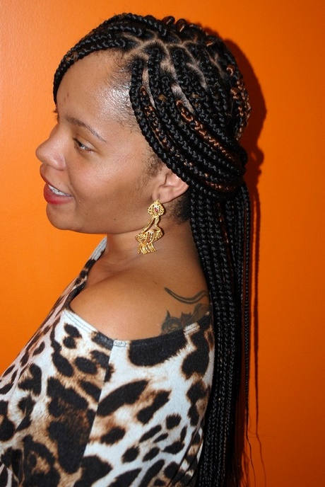 styles-of-plaiting-hair-83_20 Styles of plaiting hair