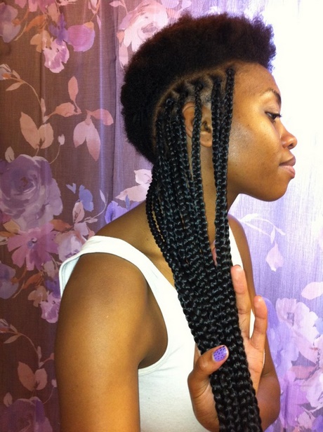 styles-to-do-with-braiding-hair-66_12 Styles to do with braiding hair