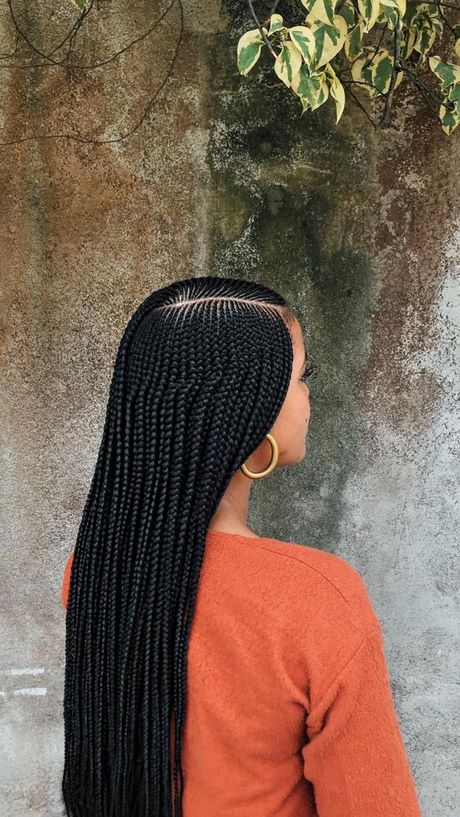 braided-hairstyles-black-hair-2020-27_13 Braided hairstyles black hair 2020