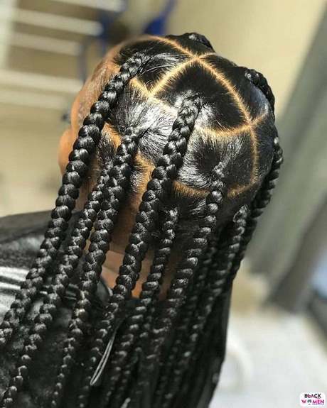 hairstyles-2021-braids-56_17 Hairstyles 2021 braids