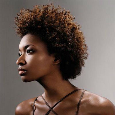 natural-hairstyles-for-african-american-women-08 Natural hairstyles for african american women