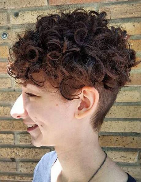 short-hair-hairstyles-for-curly-hair-21_8 Short hair hairstyles for curly hair