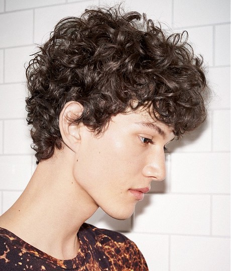 curly-hairstyles-images-69_7 Curly hairstyles images
