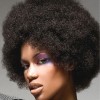 Black afro hairstyles