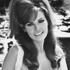 Hairstyles 60s 70s